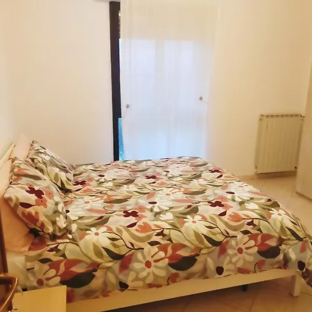 Il Gitano *
